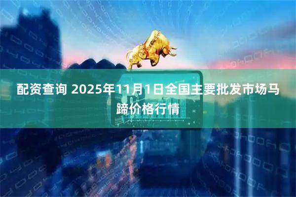 配资查询 2025年11月1日全国主要批发市场马蹄价格行情